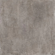 Century Fusion Grey Nat 60x60 / Центури Фьюжен Грей Нат 60x60 